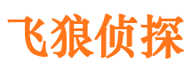 监利市私家侦探